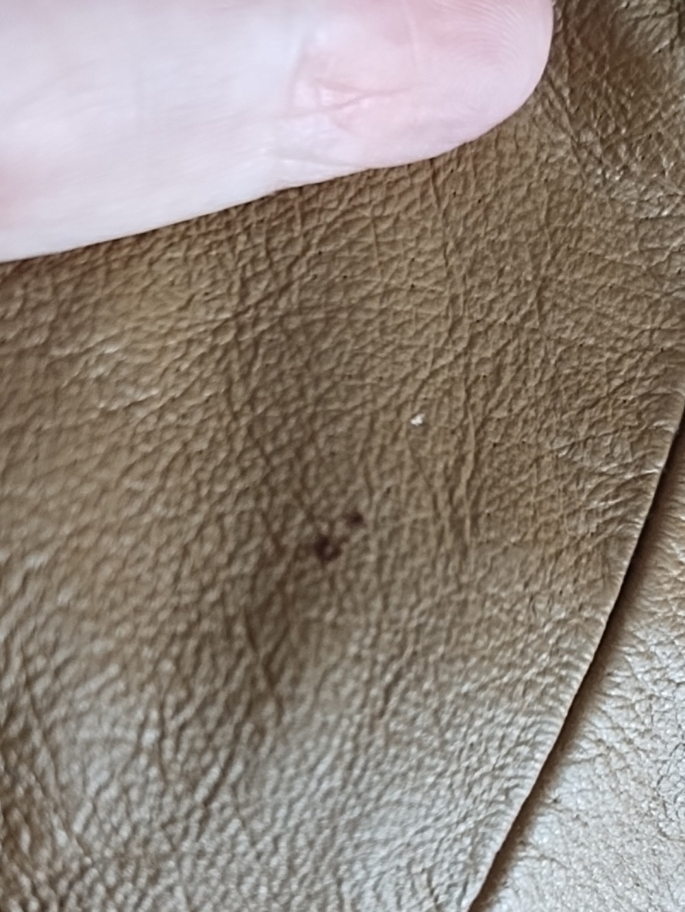 Leather Jacket - Picture 7 of 7